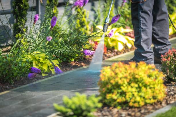 Best Winterizing Services  in Derry, PA